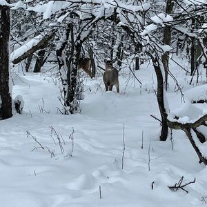 Meet your Posher, Que mi